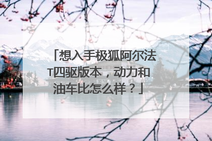 想入手极狐阿尔法T四驱版本，动力和油车比怎么样？