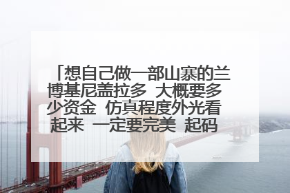 想自己做一部山寨的兰博基尼盖拉多 大概要多少资金 仿真程度外光看起来 一定要完美 起码别人看不出来的。