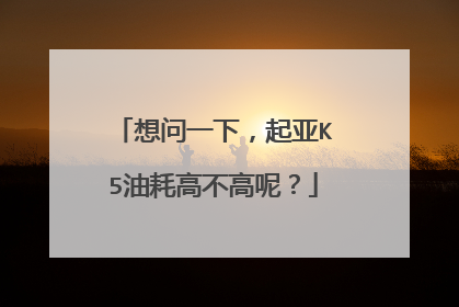 想问一下，起亚K5油耗高不高呢？