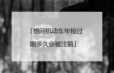 想问机动车年检过期多久会被注销