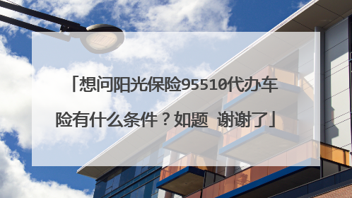 想问阳光保险95510代办车险有什么条件？如题 谢谢了