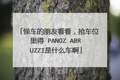 懂车的朋友看看，抢车位里得 PANOZ ABRUZZI是什么车啊