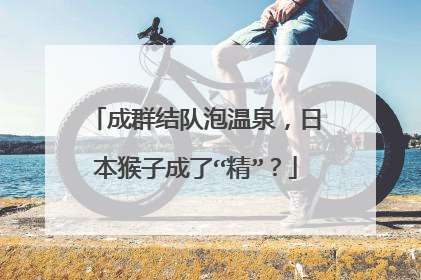 成群结队泡温泉，日本猴子成了“精”？