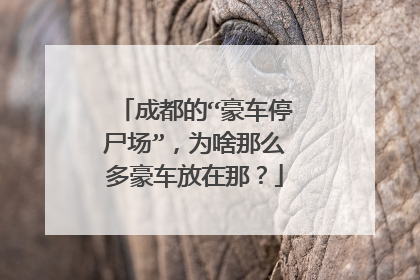 成都的“豪车停尸场”，为啥那么多豪车放在那？