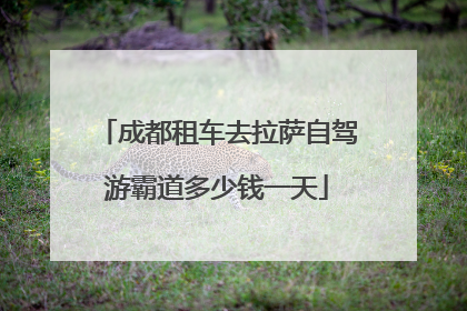 成都租车去拉萨自驾游霸道多少钱一天