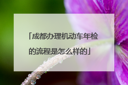 成都办理机动车年检的流程是怎么样的