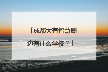 成都大有智慧周边有什么学校？