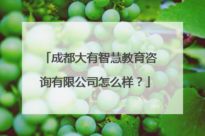 成都大有智慧教育咨询有限公司怎么样？