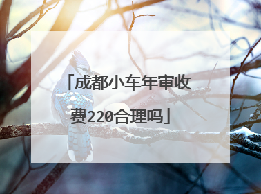 成都小车年审收费220合理吗