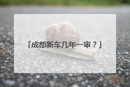 成都新车几年一审？
