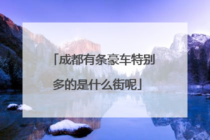 成都有条豪车特别多的是什么街呢