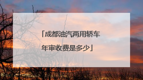 成都油汽两用轿车年审收费是多少