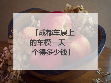 成都车展上的车模一天一个得多少钱