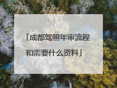 成都驾照年审流程和需要什么资料