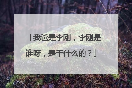 我爸是李刚，李刚是谁呀，是干什么的？
