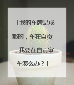 我的车牌是成都的，车在自贡，我要在自贡审车怎么办？