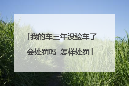 我的车三年没验车了 会处罚吗 怎样处罚