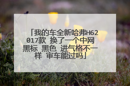 我的车全新哈弗H62017款 换了一个中网黑标 黑色 进气格不一样 审车能过吗
