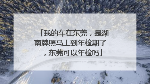 我的车在东莞，是湖南牌照马上到年检期了，东莞可以年检吗