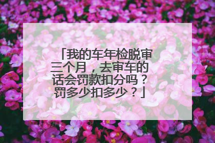 我的车年检脱审三个月，去审车的话会罚款扣分吗？罚多少扣多少？