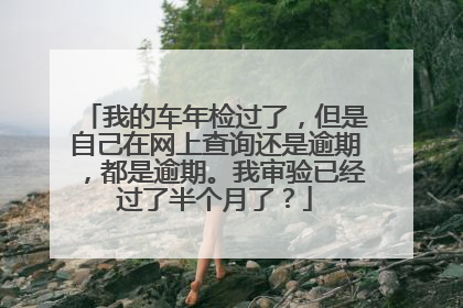 我的车年检过了，但是自己在网上查询还是逾期，都是逾期。我审验已经过了半个月了？