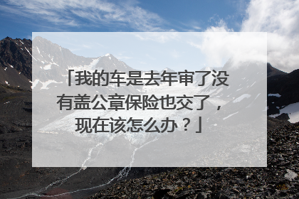 我的车是去年审了没有盖公章保险也交了，现在该怎么办？