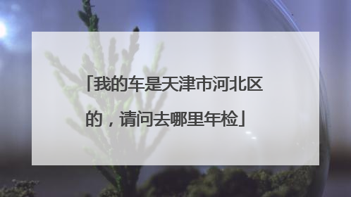 我的车是天津市河北区的，请问去哪里年检