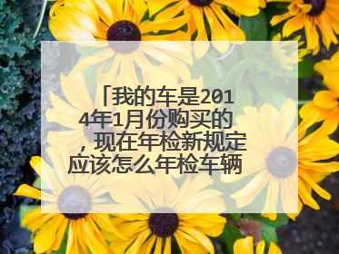 我的车是2014年1月份购买的，现在年检新规定应该怎么年检车辆？谢谢