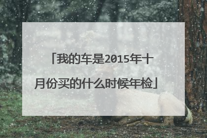 我的车是2015年十月份买的什么时候年检