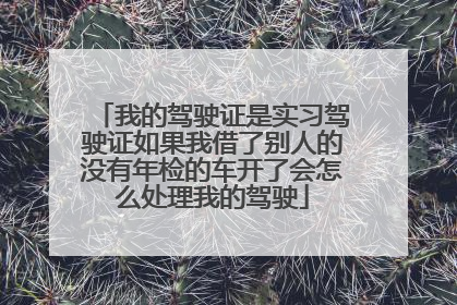 我的驾驶证是实习驾驶证如果我借了别人的没有年检的车开了会怎么处理我的驾驶