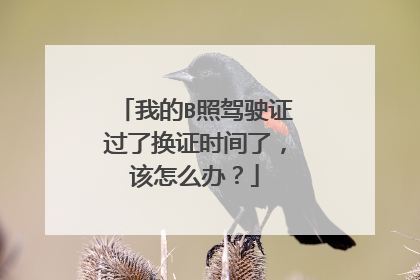 我的B照驾驶证过了换证时间了，该怎么办？