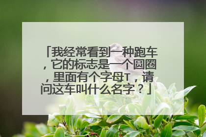 我经常看到一种跑车，它的标志是一个圆圈，里面有个字母T，请问这车叫什么名字？