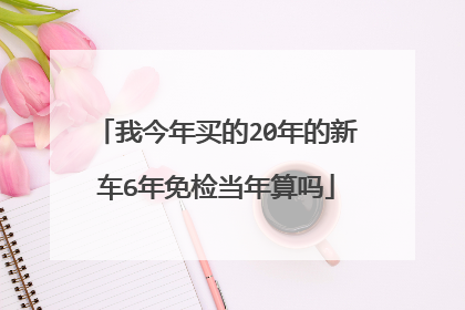 我今年买的20年的新车6年免检当年算吗