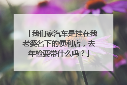 我们家汽车是挂在我老婆名下的便利店，去年检要带什么吗？