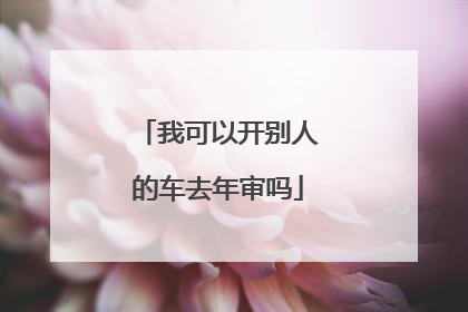 我可以开别人的车去年审吗