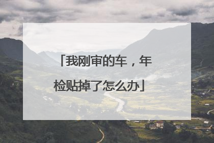 我刚审的车，年检贴掉了怎么办