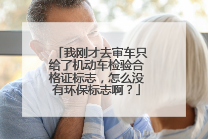 我刚才去审车只给了机动车检验合格证标志，怎么没有环保标志啊？