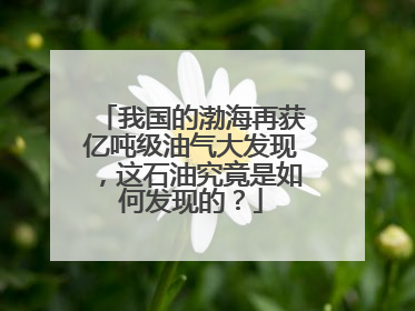 我国的渤海再获亿吨级油气大发现，这石油究竟是如何发现的？