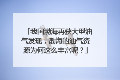 我国渤海再获大型油气发现，渤海的油气资源为何这么丰富呢？