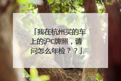 我在杭州买的车上的沪C牌照，请问怎么年检？？