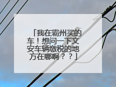 我在霸州买的车！想问一下文安车辆缴税的地方在哪啊？？