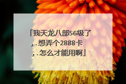 我天龙八部56级了 ,.想弄个2888卡 ,.怎么才能用啊