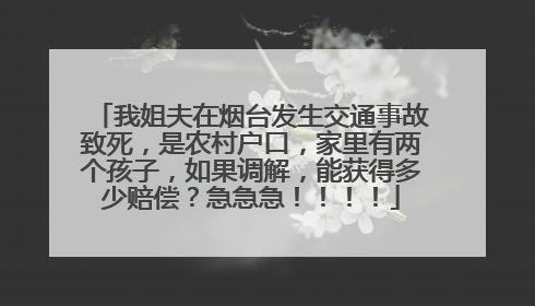 我姐夫在烟台发生交通事故致死，是农村户口，家里有两个孩子，如果调解，能获得多少赔偿？急急急！！！！