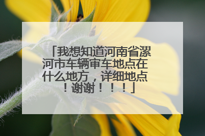 我想知道河南省漯河市车辆审车地点在什么地方，详细地点！谢谢！！！