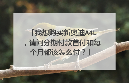 我想购买新奥迪A4L，请问分期付款首付和每个月都该怎么付？