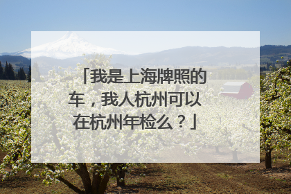 我是上海牌照的车，我人杭州可以在杭州年检么？