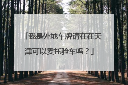 我是外地车牌请在在天津可以委托验车吗？