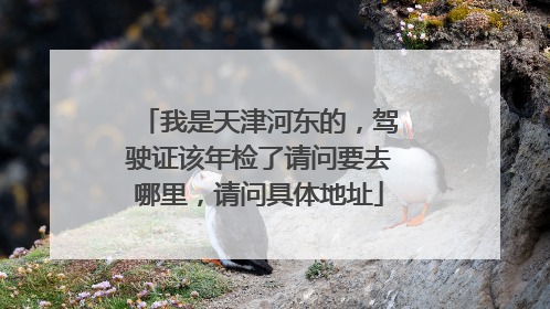 我是天津河东的，驾驶证该年检了请问要去哪里，请问具体地址