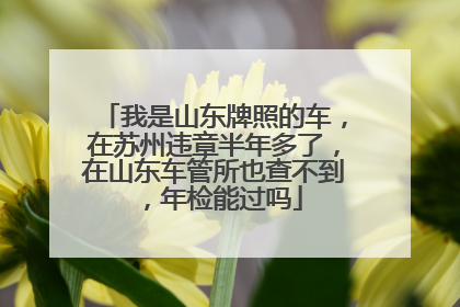 我是山东牌照的车，在苏州违章半年多了，在山东车管所也查不到，年检能过吗