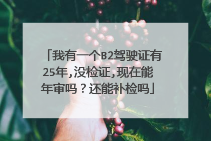 我有一个B2驾驶证有25年,没检证,现在能年审吗？还能补检吗
